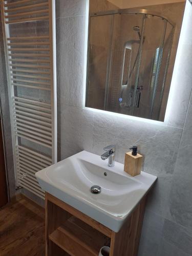 ein Badezimmer mit Waschbecken, Spiegel und Dusche in der Unterkunft Víkendový domček Tis in Hrabušice