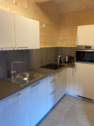 a kitchen with white cabinets and a sink at Naturparadies Pressegger See - Nassfeld - Weissensee in Hermagor
