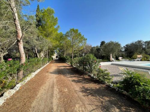 a dirt road with bushes and trees on it at Tenuta Palmarini in San Cataldo