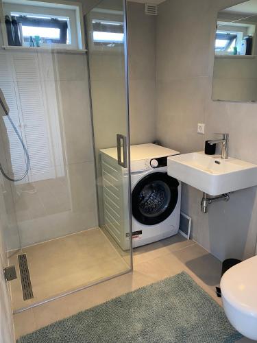 a bathroom with a washing machine and a sink at Vakantiehuis Buitenplaats Schouwen in Burgh Haamstede