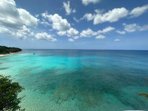 an aerial view of a beach with blue water at Coralita Apartments in Saint Michael