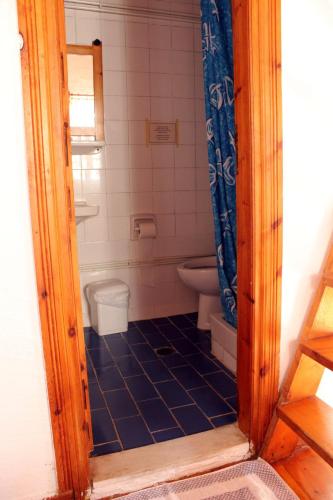 a small bathroom with a toilet and a shower at Sotos pension in Skopelos Town