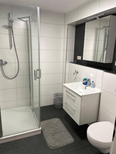 a bathroom with a shower and a toilet and a sink at Bavaria Wirtshaus - Hotel & Gästezimmer- Frankenberg Eder in Frankenberg