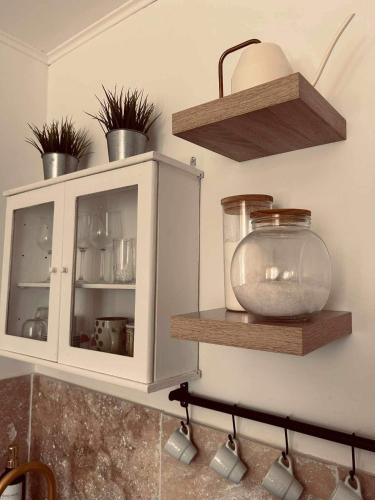 une cuisine avec une armoire blanche et des plantes. dans l'établissement My home, à Saint-Tropez