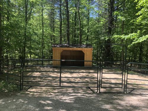 a gate with a dog house in the woods at THE RIVER HOUSE LIMIT 6 home 