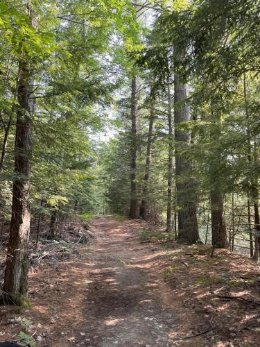 a dirt trail in a forest with trees at THE RIVER HOUSE LIMIT 6 home in Hiram