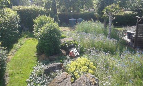 a garden with a bench in a field of flowers at Appartement in Berlingen mit Garten, Terrasse und Grill in Berlingen