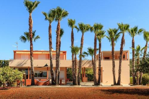 a group of palm trees in front of a building at Moderne Finca mit sehr großem Grundstück und Privatpool in Sant Joan de Labritja