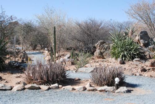 a garden with plants and rocks and a pond at Oppi-Koppi Rest Camp in Kamanjab