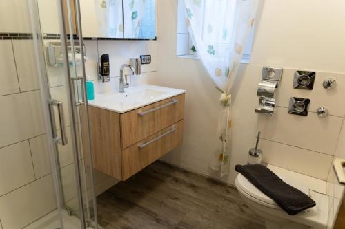 a bathroom with a toilet and a sink and a shower at Ferienwohnung auf einem Reiterhof in Weißenstadt