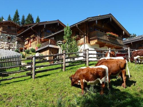 a group of cows grazing in a field in front of a house at Ferienhaus für vier Erwachsene und zwei Kinder mit Sauna und Kamin in Flachau