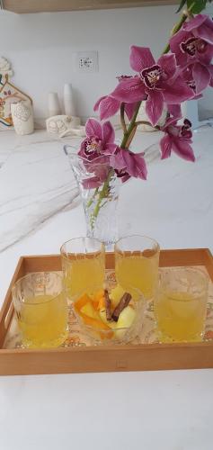 a tray with three glasses and a vase with purple flowers at Aurora Bed and Breakfast in Gubbio