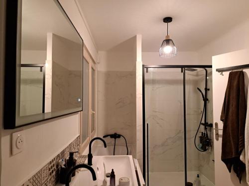 uma casa de banho com um lavatório e um chuveiro em Maison JO 2024 Clamart em Clamart
