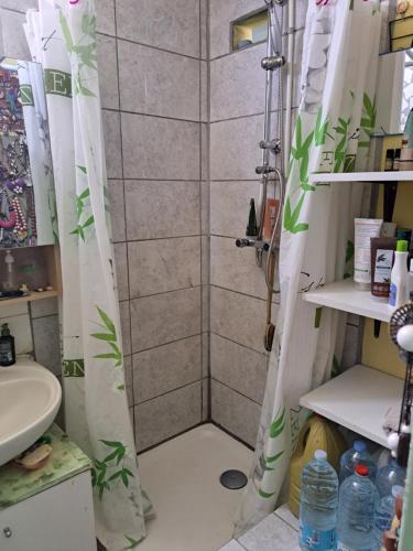 a shower with a shower curtain in a bathroom at COLOCATION CITE URBAINE in Pointe-à-Pitre