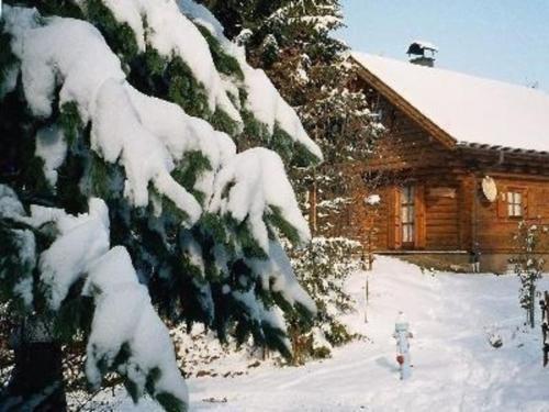 a snow covered tree in front of a log cabin at Ferienhaus Stoakoglhütte in Klippitztörl in Klippitztorl