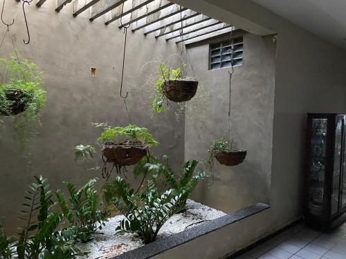 a garden with potted plants hanging from a wall at Casa a 3 km da praia de Ponta Negra in Natal