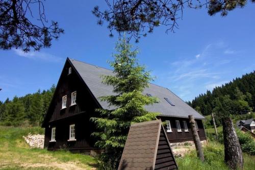 uma casa negra com uma árvore a crescer em Appartement in Klingenthal mit Terrasse, Garten und Grill em Klingenthal