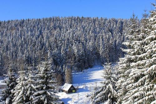 une cabine au milieu d'une forêt enneigée dans l'établissement Appartement in Klingenthal mit Terrasse, Garten und Grill, à Klingenthal
