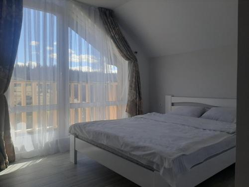 een slaapkamer met een bed en een groot raam bij Sofi in Yablunytsia