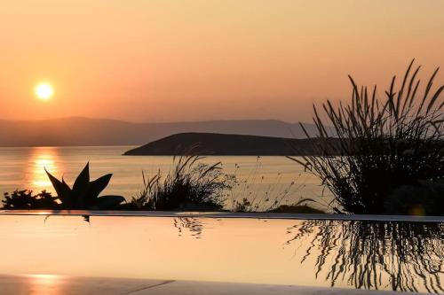 a sunset over a body of water with plants at Drios Hillhouse in Drios