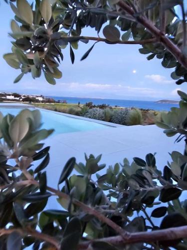 a view of a swimming pool from a tree at Drios Hillhouse in Drios