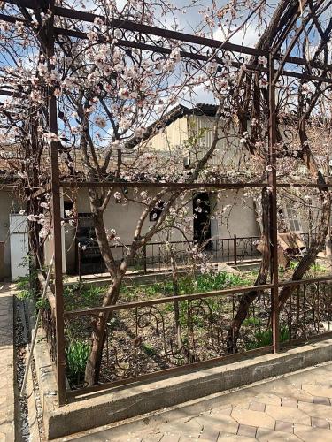 a fence with a flowering tree in front of a building at Altan Hostel Osh in Osh