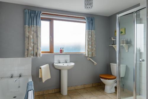 a bathroom with a sink and a toilet and a window at Grove Fort Self Catering Farmhouse in Finnis