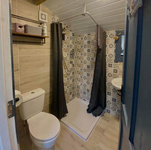 y baño pequeño con aseo y ducha. en Sea Breeze cabin, en Donegal
