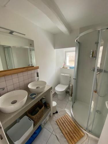 ein Badezimmer mit Waschbecken, Toilette und Dusche in der Unterkunft Maison de vacances hyper centre, plage à pied - Etables sur Mer in Étables