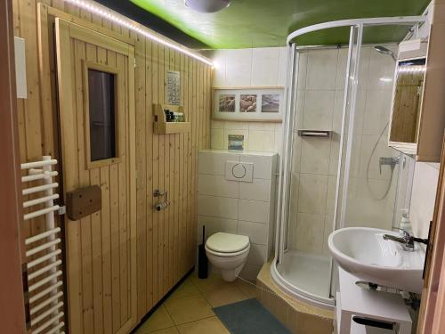 a bathroom with a toilet and a shower and a sink at Apartment Sonnenberge in Jena