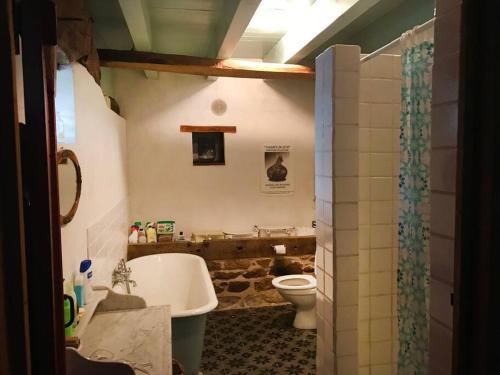 une salle de bain avec une baignoire, des toilettes et un lavabo dans l'établissement Landelijk familiehuis in Bourgondië, à Mary
