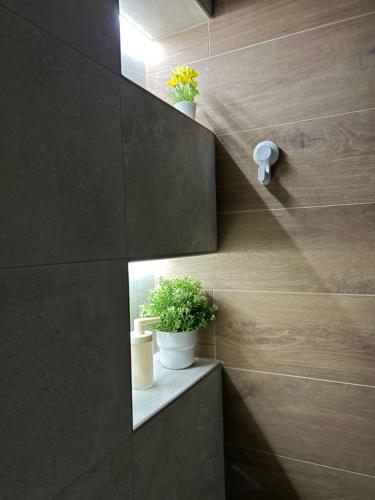 a bathroom with two potted plants on a wall at Apartment Fiore in Smederevo