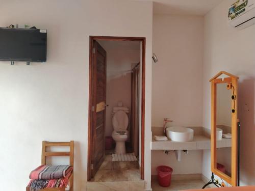 a bathroom with a toilet and a sink and a mirror at BM Zihua Casa de Huéspedes in Zihuatanejo