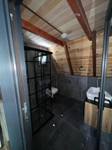 a bathroom with a sink and a toilet in a room at Serona Apart & Bungalow in Çamlıhemşin