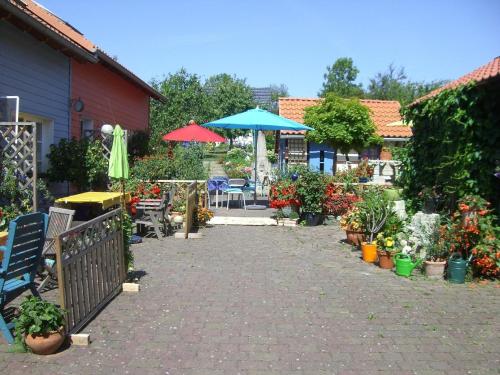 un patio con un montón de plantas y sombrillas en Große Ferienwohnung in Dachrieden mit Großem Garten en Dachrieden