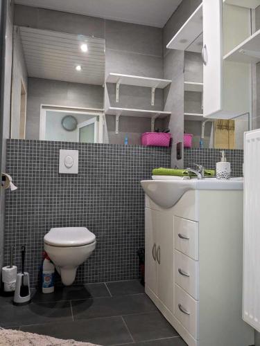 a bathroom with a toilet and a sink at Plein centre de Visé in Visé