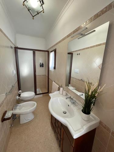 een badkamer met een wastafel, een toilet en een spiegel bij Liparulo Holiday House in Massa Lubrense
