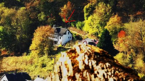 ein Haus auf einem Hügel mit Bäumen in der Unterkunft Studio für 4 Personen ca 85 qm in Waldbreitbach, Rheinland-Pfalz Westerwald in Waldbreitbach