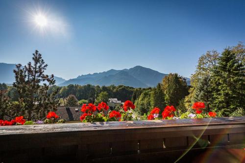 a view of a garden with red flowers on a bridge at Landhotel Sonnleiten in Bad Reichenhall