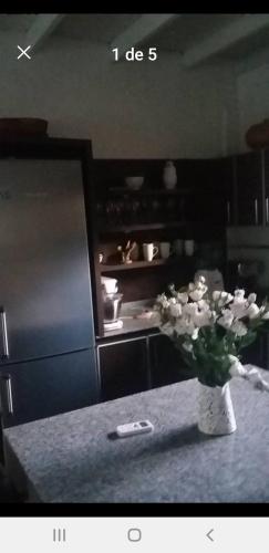 um vaso de flores em uma mesa em uma cozinha em Las Magnolias em Ingeniero Maschwitz