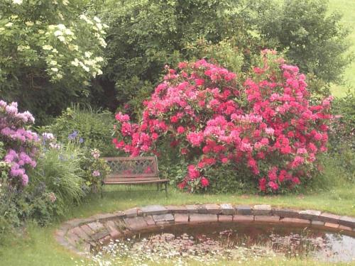 a bench in a garden with pink flowers and a pond at Ferienhaus in Obernsees mit Garten, Terrasse und Grill in Mistelgau