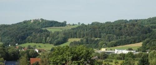 Blick auf einen Berg mit Bäumen und eine Stadt in der Unterkunft Ferienhaus für 2 Personen  1 Kind ca 60 m in Mistelgau-Obernsees, Bayern Franken in Mistelgau