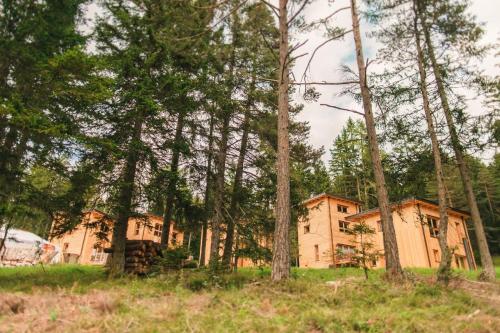 a house in the woods with trees at Chalet PINO in Tret