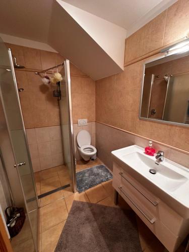 a bathroom with a shower and a sink and a toilet at Chata u cestaře in Loučná pod Klínovcem