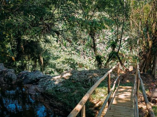 a wooden bridge over a stream in a forest at Suíte com cachoeira no quintal in Antônio Carlos