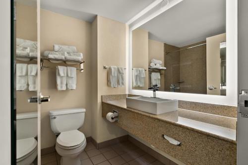 a bathroom with a toilet and a sink and a mirror at Ramada by Wyndham Harrisburg/Hershey Area in Harrisburg
