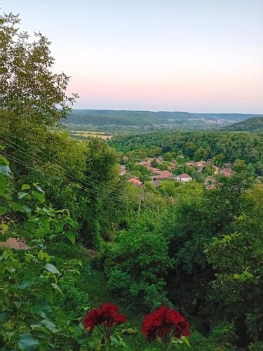 Příroda nedaleko apartmánu