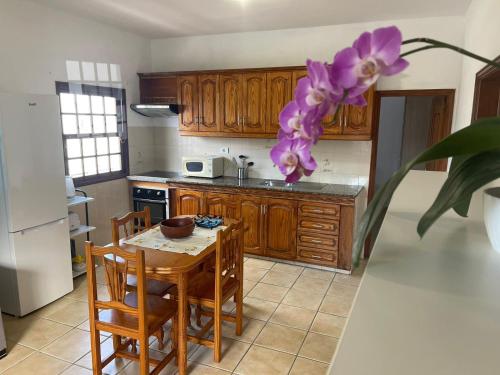 a kitchen with a table and a purple flower at Apartamento Tabaiba in Tamaduste