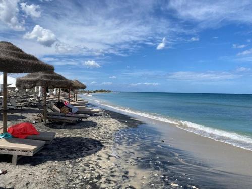 Una playa con sillas y sombrillas de paja y el océano. en Antica casa, en Vernole