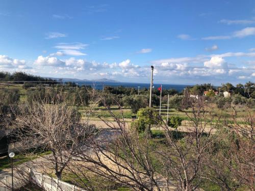 a field with trees and the ocean in the background at Bozcaada Manzaralı Müstakil Bahçeli Aileye Uygun Villa in Canakkale